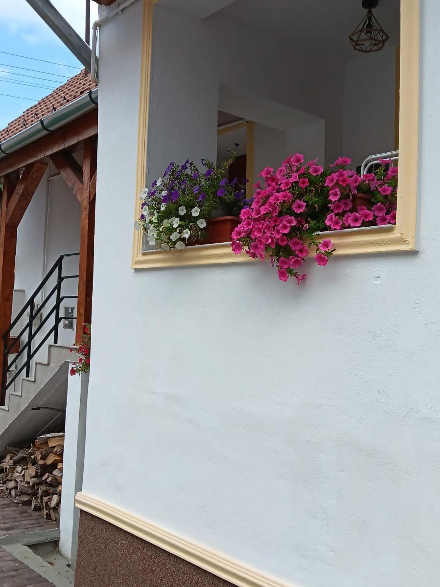 Hotel Iosif 55 Sighișoara Zewnętrze zdjęcie